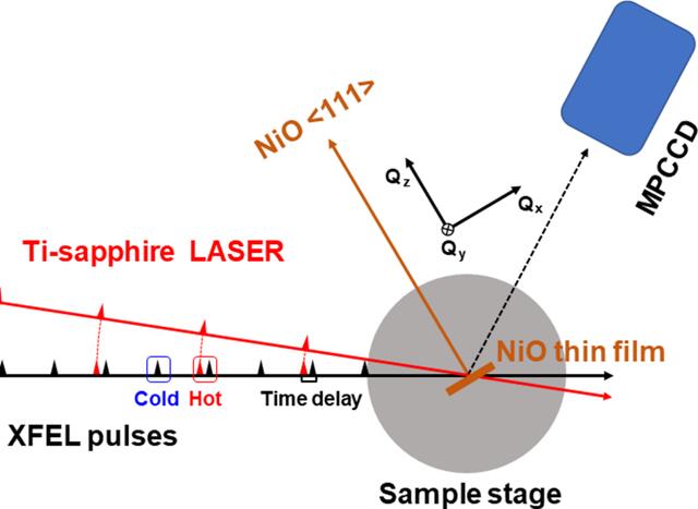 [Figure 2]