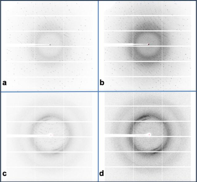 [Figure 1]