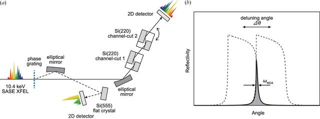 [Figure 1]