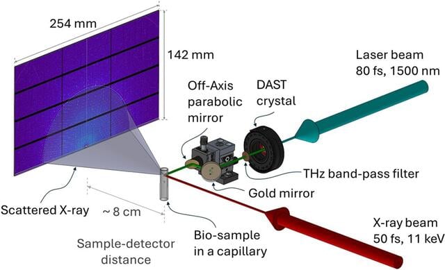 [Figure 4]