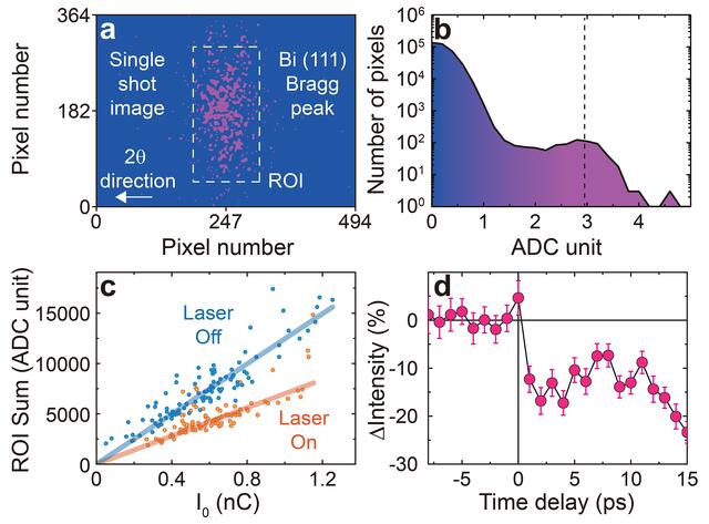 [Figure 4]