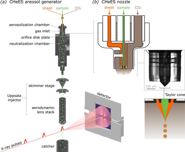 [Figure 1]