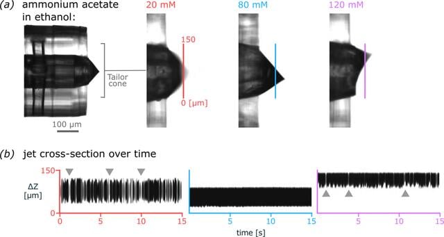 [Figure 5]