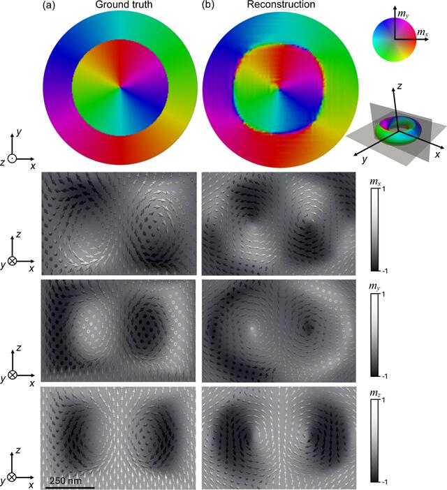 [Figure 8]