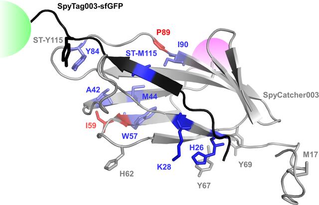 [Figure 6]