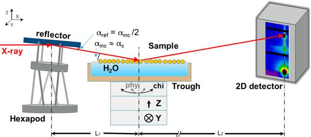 [Figure 1]