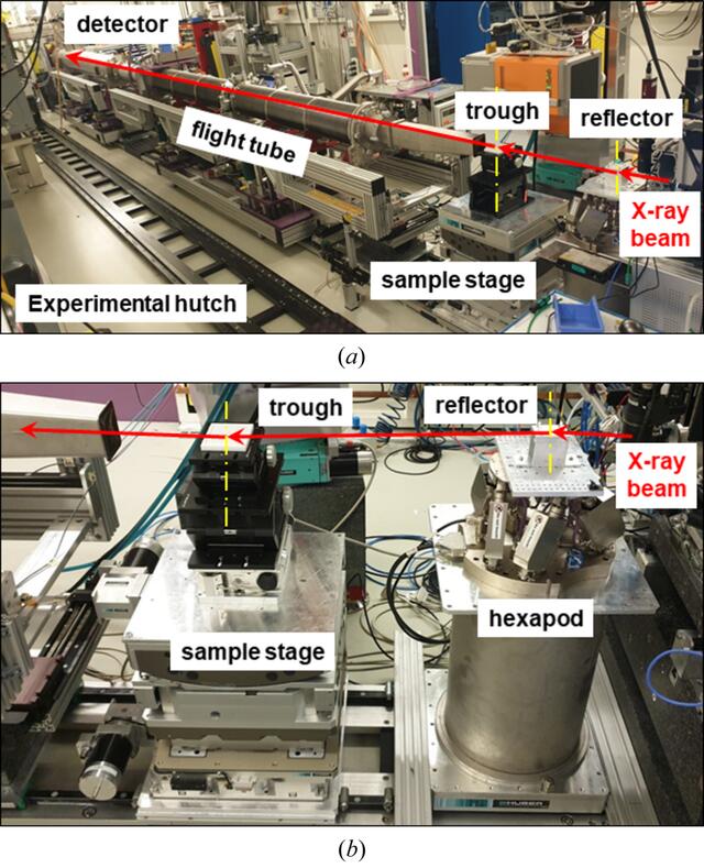 [Figure 3]