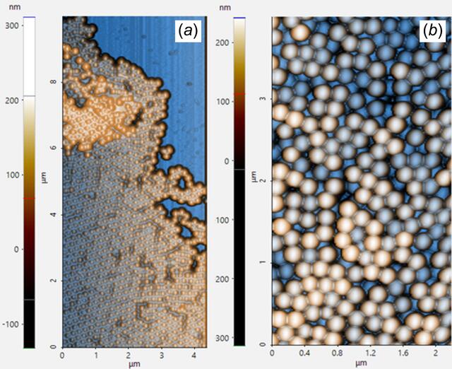 [Figure 5]