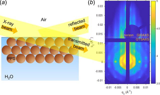 [Figure 6]