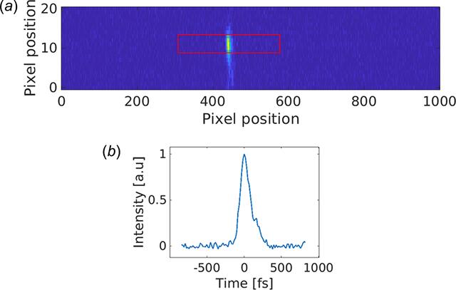 [Figure 5]