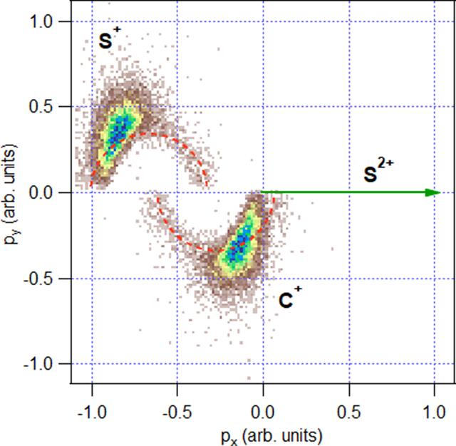 [Figure 8]