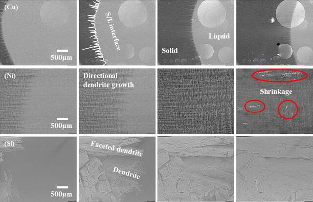 [Figure 3]