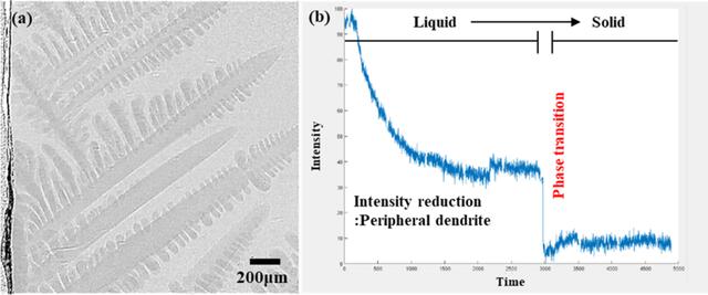 [Figure 5]