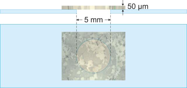 [Figure 1]