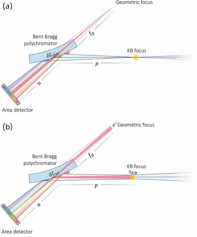 [Figure 8]