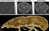 [Figure 13]