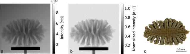 [Figure 14]