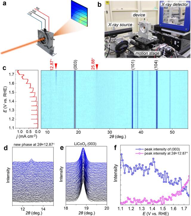 [Figure 4]