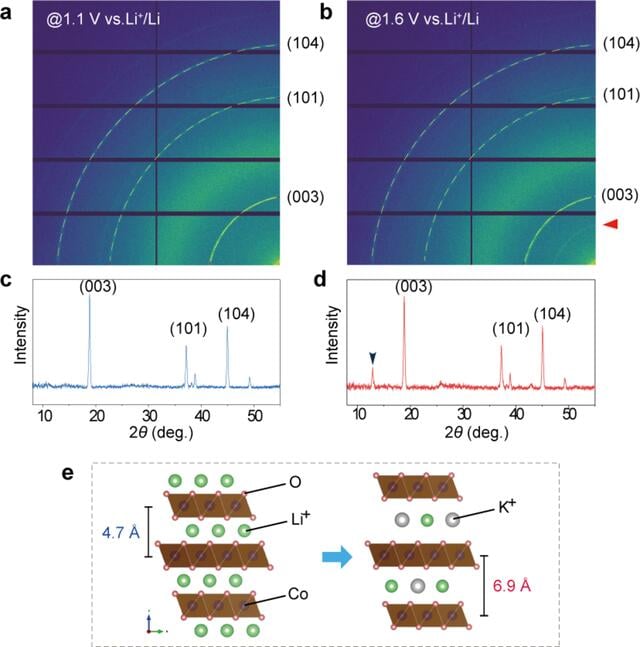 [Figure 5]