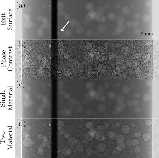 [Figure 1]