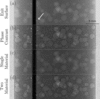 [Figure 1]