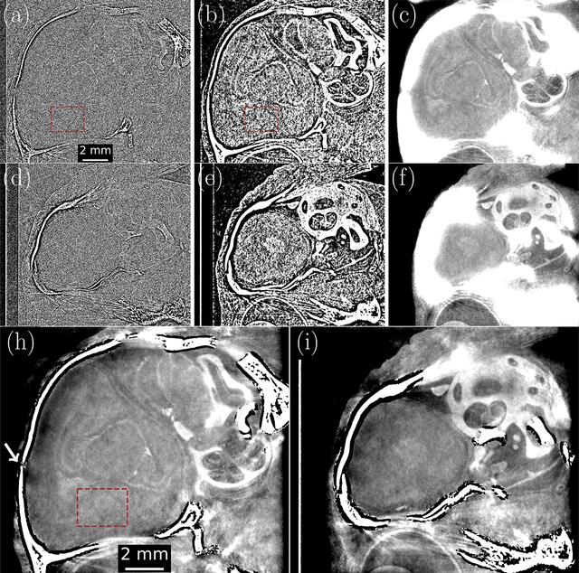 [Figure 3]
