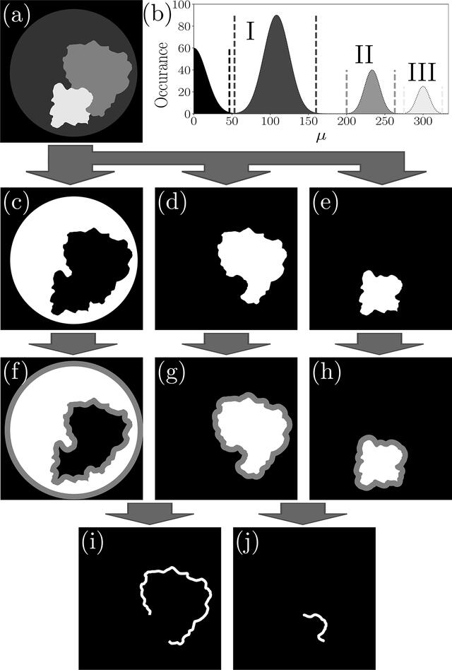 [Figure 5]