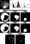 [Figure 5]