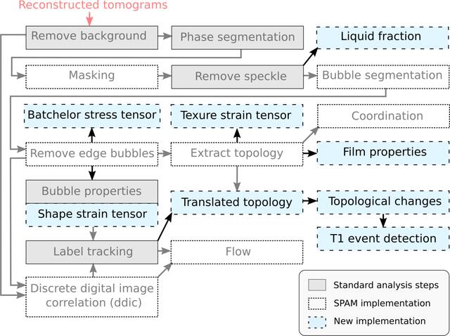 [Figure 1]