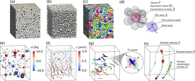 [Figure 2]