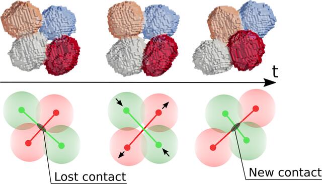 [Figure 4]