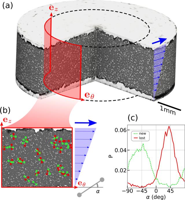 [Figure 5]