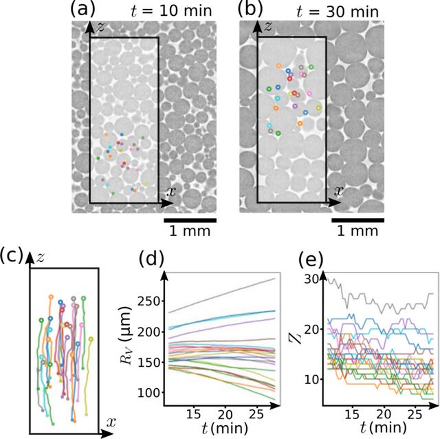 [Figure 6]