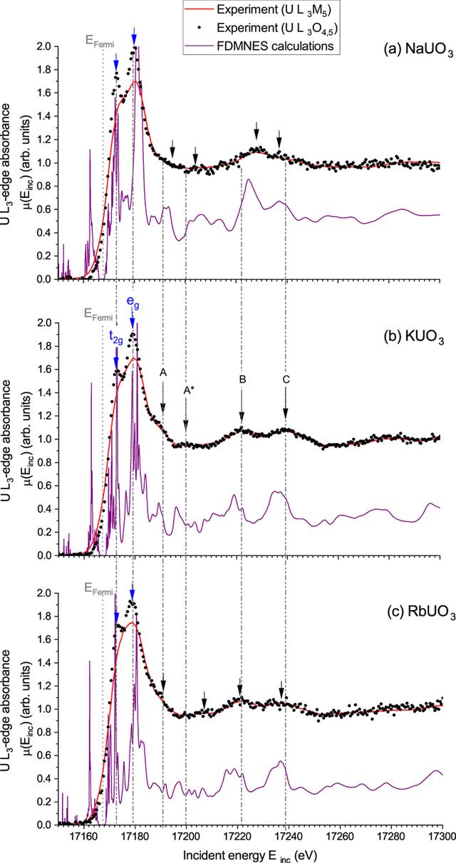 [Figure 2]