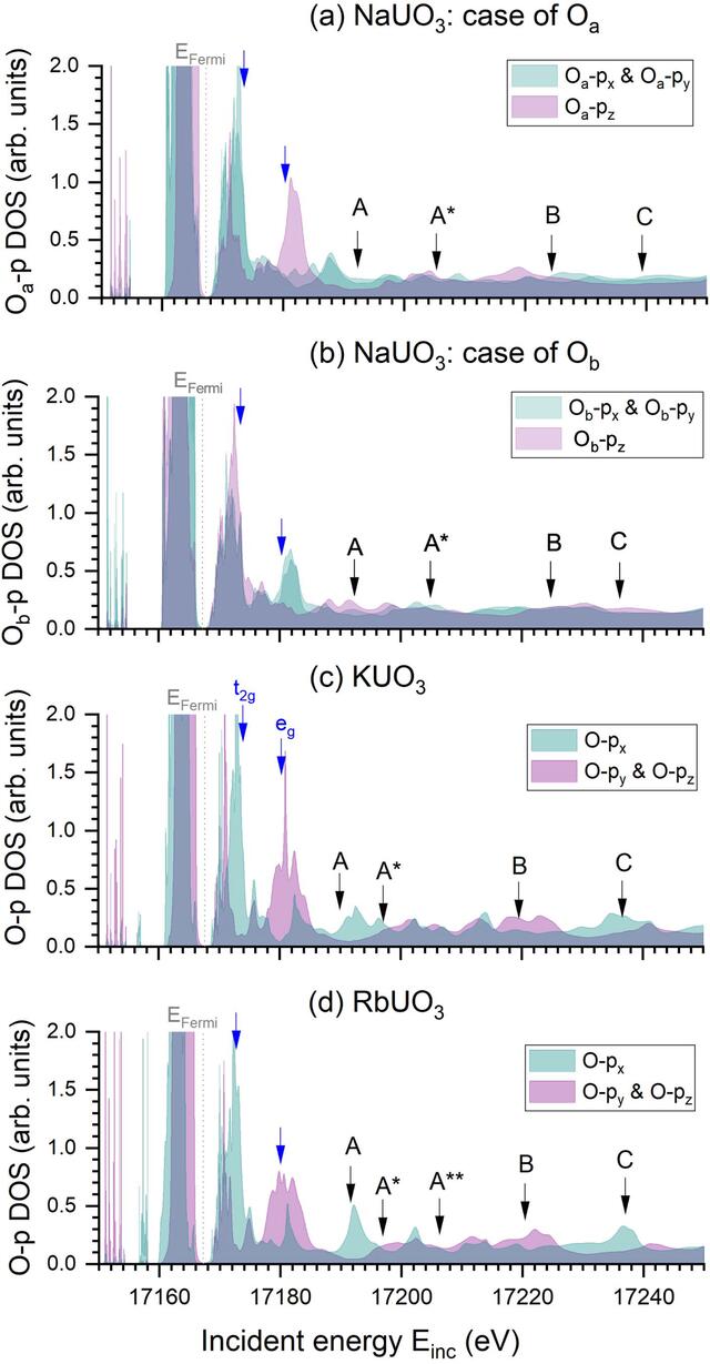 [Figure 4]