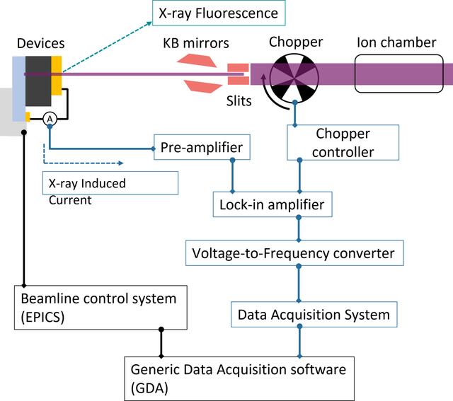 [Figure 1]
