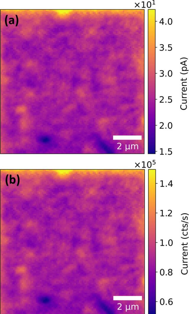 [Figure 2]
