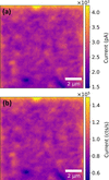 [Figure 2]