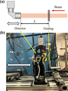 [Figure 1]