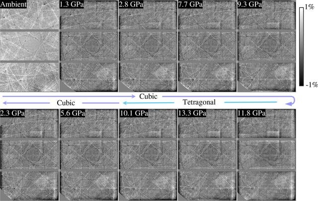 [Figure 5]