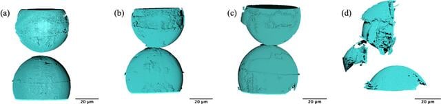 [Figure 5]