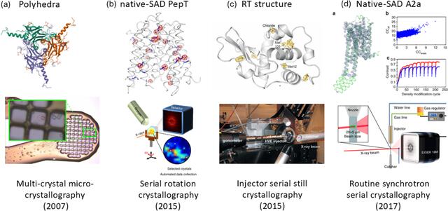 [Figure 6]