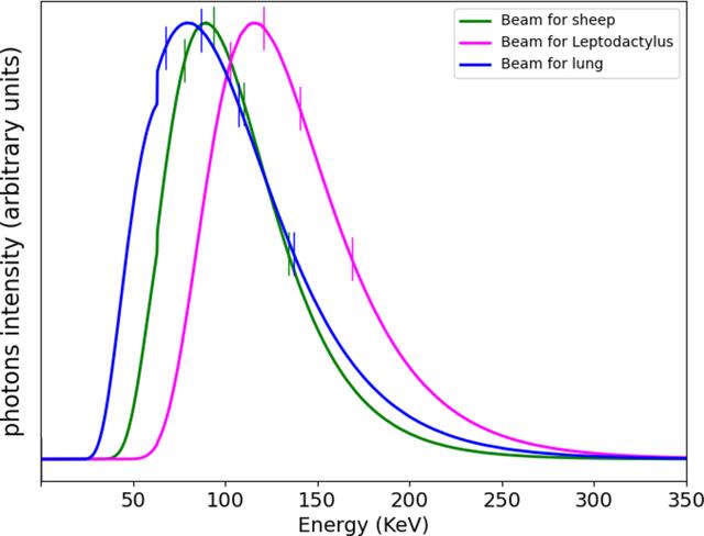 [Figure 1]