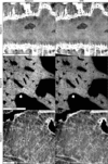 [Figure 10]