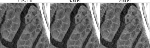 [Figure 11]