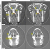 [Figure 2]