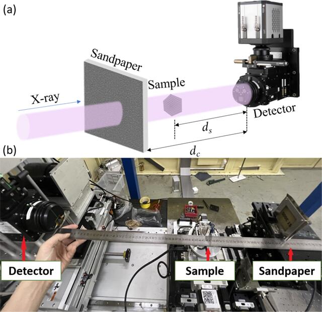 [Figure 1]