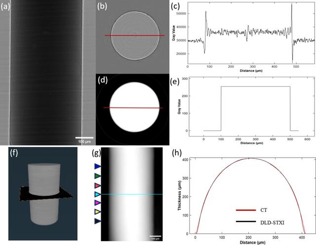 [Figure 3]