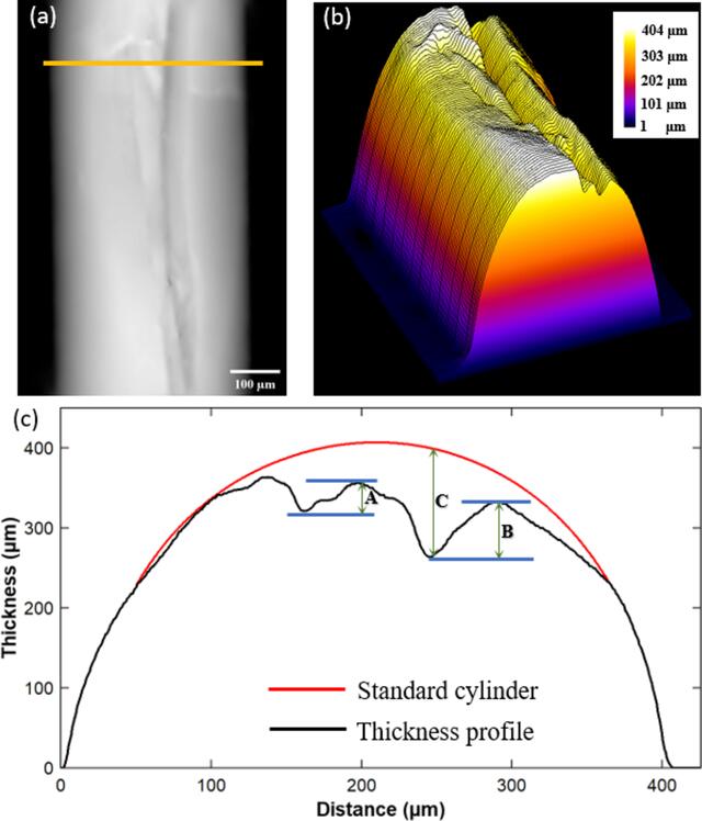 [Figure 5]