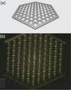 [Figure 9]